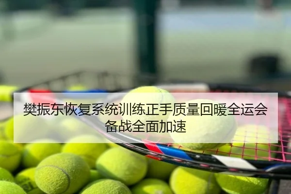 樊振东恢复系统训练正手质量回暖全运会备战全面加速